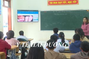 Nhiều dịch, bệnh mùa đông xuân.